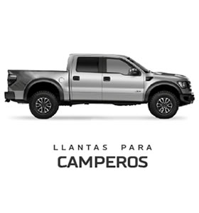 CAMPERO Y CAMIONETA