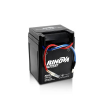 Miniatura