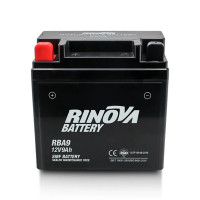Miniatura