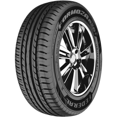 FEDERAL Formoza AZ01 Run Flat 205/50RF17 