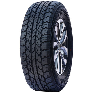 RYDANZ Raptor R09 205/60R15