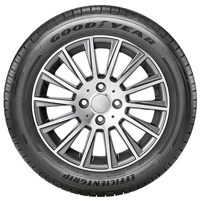 GOODYEAR EfficientGrip Performance 2 205/55R16 91V | Egzotika.lt