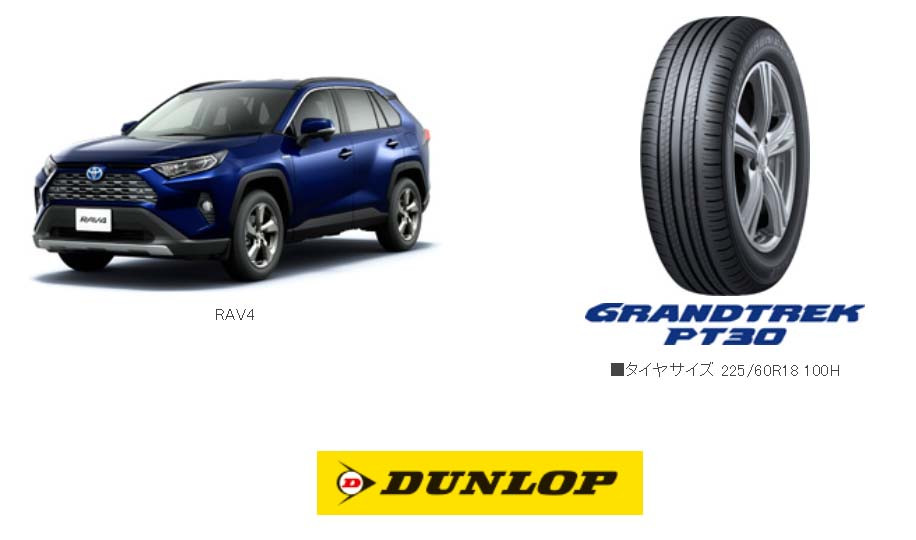 Llanta DUNLOP Grandtrek PT30 225/65R17 - Virtual Llantas