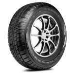 BRIDGESTONE Dueler A/T 693 III 265/55R19
