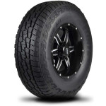 DELINTE DX10 Bandit A/T 215/65R16