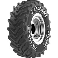 ASCENSO R1W RADIAL 600/65R28