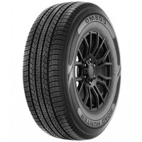COSMO Road Hunter 245/50R20