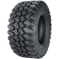 JOURNEY P3139 30X10R15