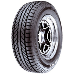 TORNEL ASTRAL 225/60R16