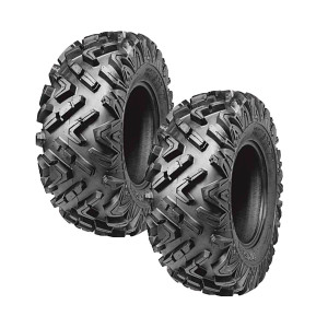 ARISUN COMBO 2 LLANTAS AR68 25X10R12