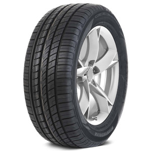 FORTUNE FSR-303 225/60R17