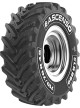 ASCENSO R1W RADIAL 600/65R28