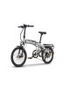 WOLF WOLF ARTIC GRIS CALCOMANIA NEGRA 2024 EC 