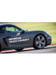 MICHELIN Pilot Sport Cup 2R Connect 315/30ZR21