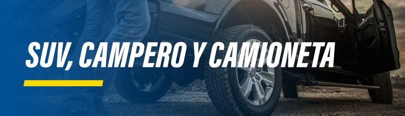 CAMPERO Y CAMIONETA
